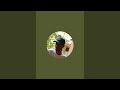 Agents | Artificial intelligence | Nataraja Murthy