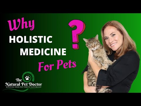 Video: Kaj je holistični veterinar in naj načrtujete sestanek?