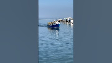 The Great Loop in the Chesapeake #greatloop #boatlife #trawlerlife