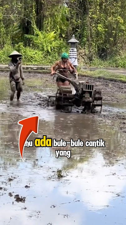 Ade aje kelakuan bule 🤣 #shortvideo #shortviral #bule #bulediindonesia
