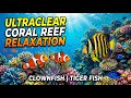 Tranquil Ocean Ambience and Relaxing Ocean Ambience for Meditation and Calmness