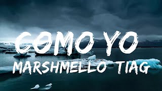 Marshmello, Tiago PZK - Como Yo :( | Музыкальная высота