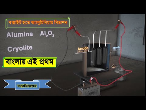 ভিডিও: কীভাবে একজন বিখ্যাত শিল্পী হবেন: 13 টি ধাপ (ছবি সহ)