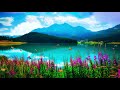 DawRos Rhythm For You Beautiful Relaxing Music Helios Record