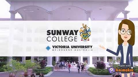 BHO2434 - Consumer Behaviour Video Presentation