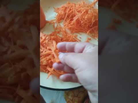 Трём морковь на Аксион М25.03