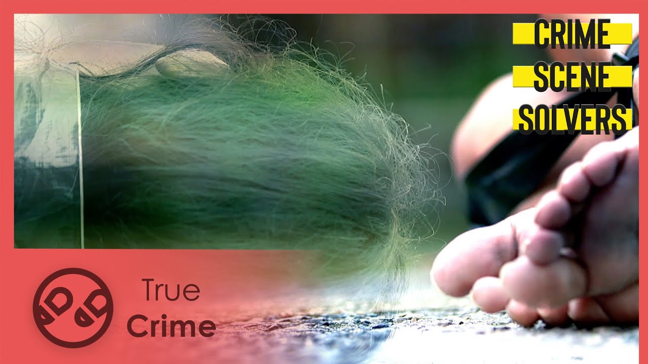 Documentary backdrop image for Victims of a Sadist | Cyril Koskinas Case | Crime Scene Solvers 401 (2023)