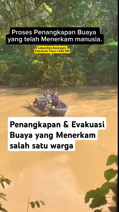 Pen4ngkapan Bu4y4 yang M3n3rk4m salah satu warga. #buayakalimantan #buaya #kaltim