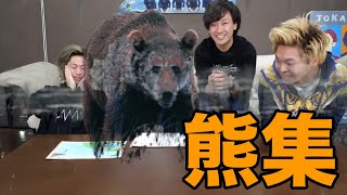 【大失熊】熊集【東海オンエア】