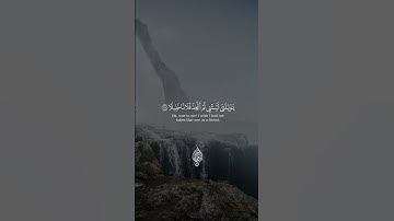 القارئ إسلام صبحي 💙/ويوم يعض الظالم على يديه