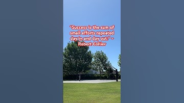 Success is the sum of small efforts repeated day in and day out – Robert Collier