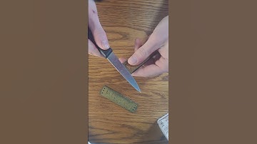 $2 Harmonica repair Daily(?) Harmonica 50: Hohner Blues Harp