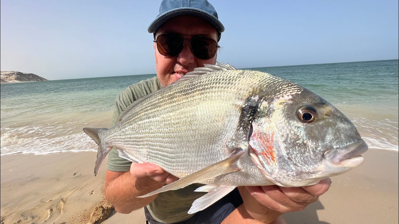 Lawrence Chisnall Fishing For Gilthead Bream In Morocco / pêche a la daurade royale Morocco