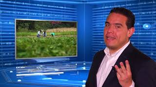 AGRONOTICIAS sie7e PROGRAMA 179