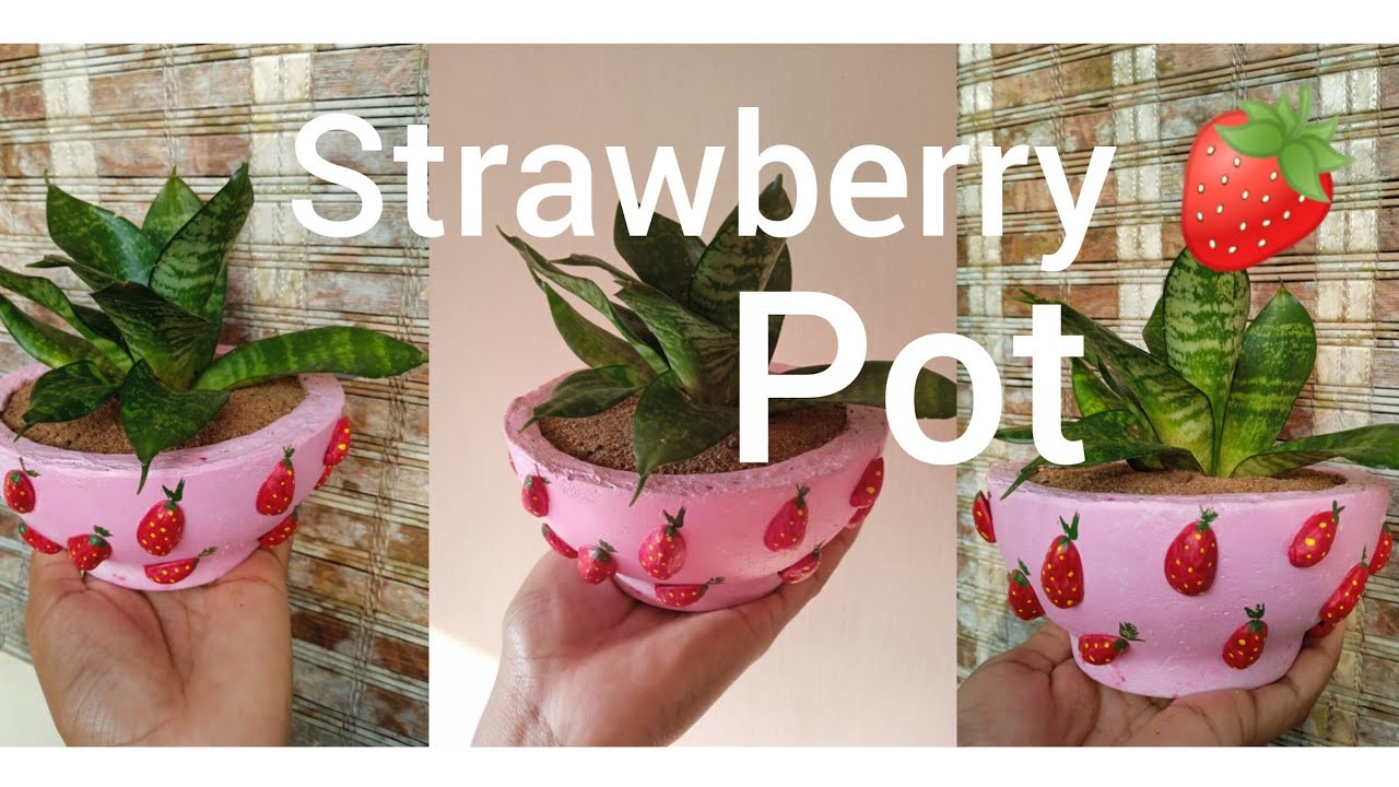 Aesthetic cute strawberry pot🍓