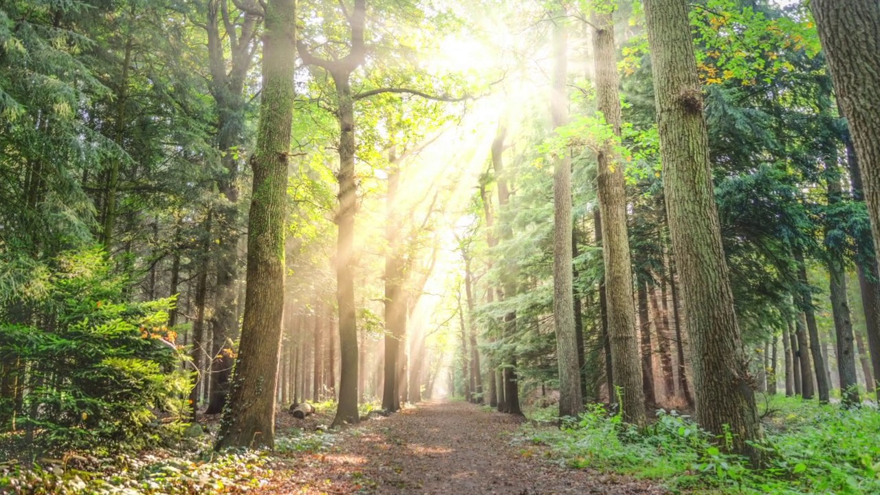 What a friend we have in Jesus