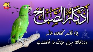 اذكار الصباح بصوت جميل هادئ ? أذكار الصباح إذا قلته كفاك الله ورزقك من حيث لا تحتسب Adkar Sabah