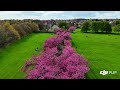 🇬🇧 Harrogate 19/04/2026
