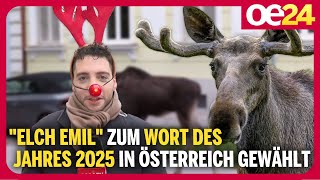 "Elch Emil" zum Wort des Jahres 2025 in Österreich gewählt