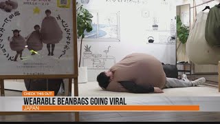 Wearable beanbags going viral WTAJ Studio 814