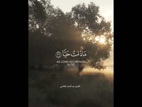 تلاوة خاشعة القارئ عبد الماجد الفاتحي