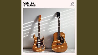 Gentle Harmony