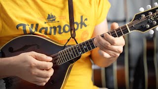 One Of My All Time Favorites Mandolin Tunes... screenshot 2