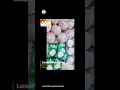 Grocery Distribution Report - May 2021 🌙