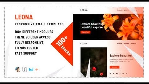 Leona – 100+ Modules - Responsive Email + StampReady Builder &  | Themeforest Templates