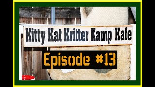 Kitty Kat Kritter Kamp Kafe, episode 13