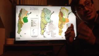 Clase 8 'Tipos de mapas e interpretación'