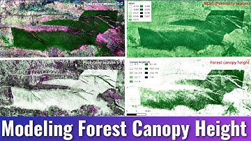 Modeling Forest Canopy Height using EO Data and Machine Learning