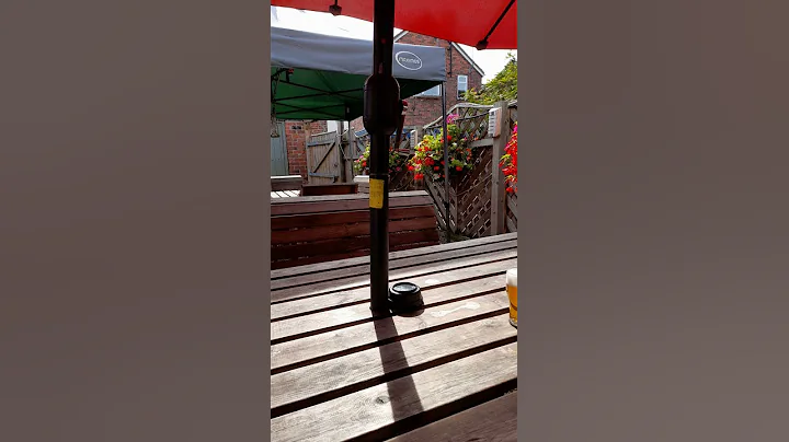 Beer garden, King Billy, Cottingham