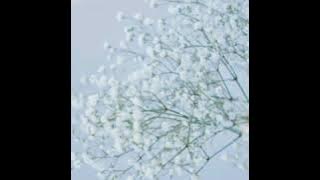 EXO - CBX ( For You ) [Moon Lovers: Scarlet Heart Ryeo OST PART1] MyanmarSubtitle