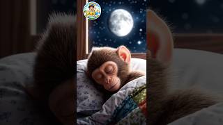 जल्दी उठो, जल्दी सोओ! 🌅🌙 | Monkey’s Good Habits Song | Early to Bed, Early to Rise | Amit for Kids