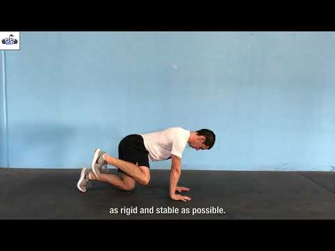 Quadruped Hip Circle