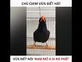 Chú chim vừa biết hát vừa biết niệm phật