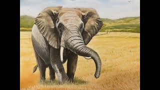 Soft Pastel tutorial in photos. Elephant by John Etheridge screenshot 2