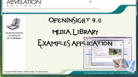 OpenInsight 9.0 Examples Application.