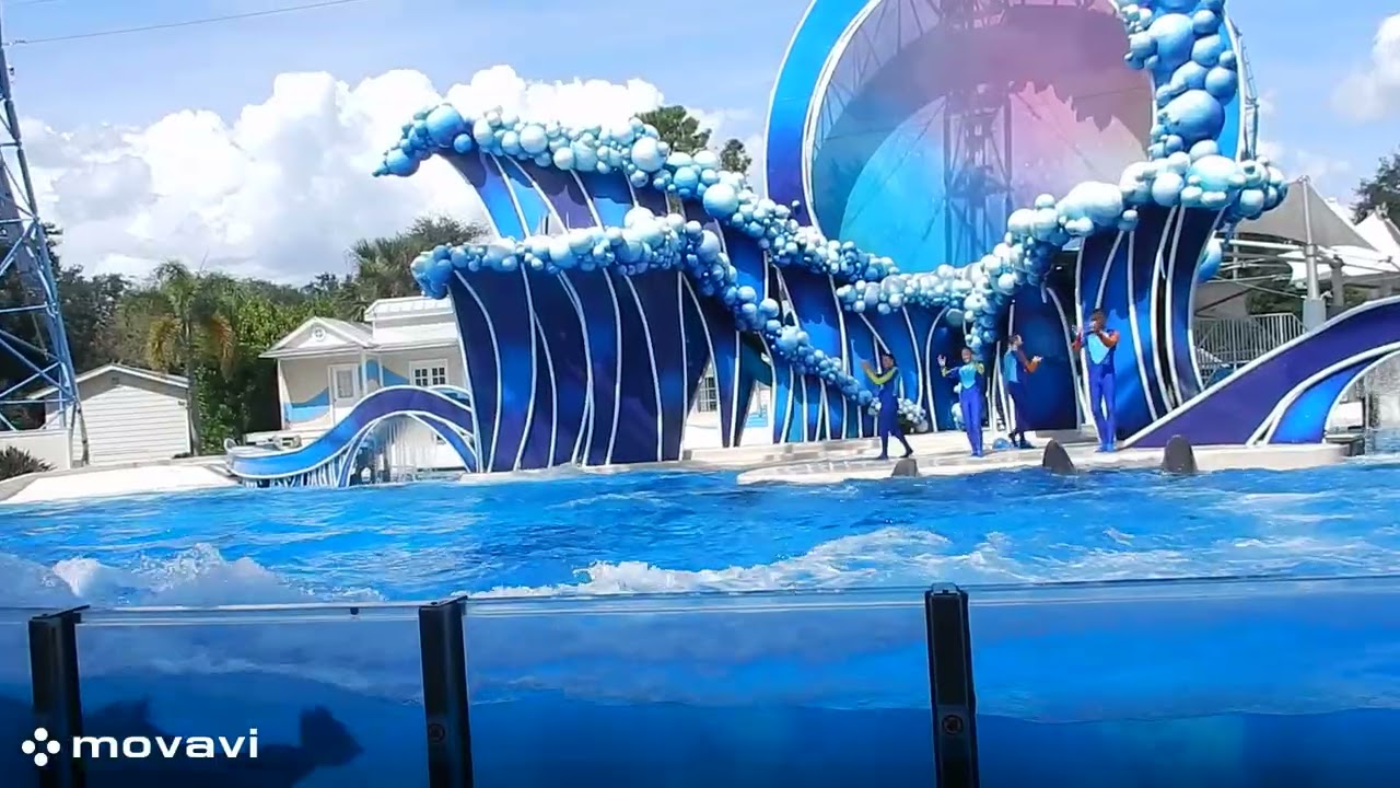 SeaWorld Orlando - Parte I