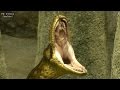 アナコンダの口 / 東山動物園 の動画、YouTube動画。