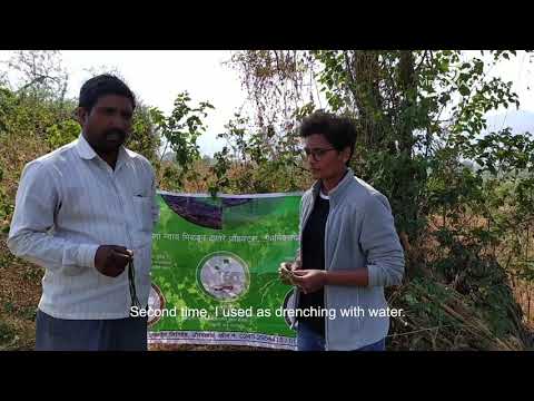 Customer Testimonial #1 - ASAAVA for Onion Crop #FarmBetterTogether - video from VIRENXIA