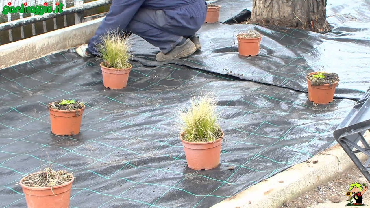 Creare aiuole di perenni youtube Aiuole da giardino con sassi