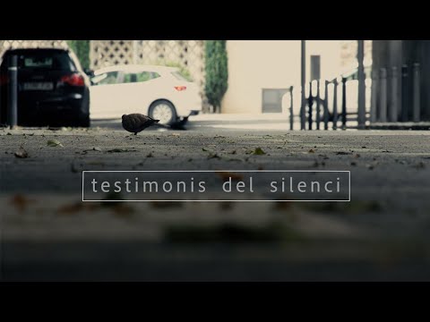 Vídeo: Pràctiques De Silenci