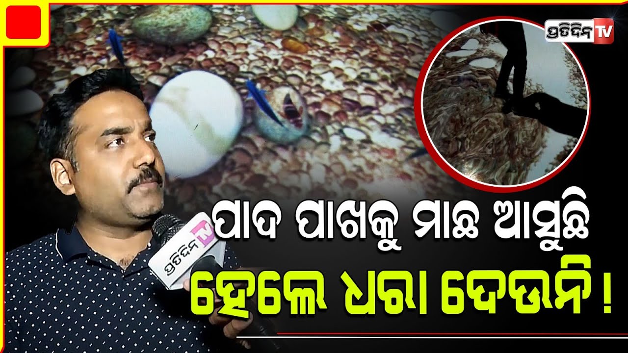 ପାଦ ପାଖକୁ ମାଛ ଆସୁଛି ହେଲେ ଧରା ଦେଉନି! Vertual Interactive Floor pond illusions, Bhubaneswar.