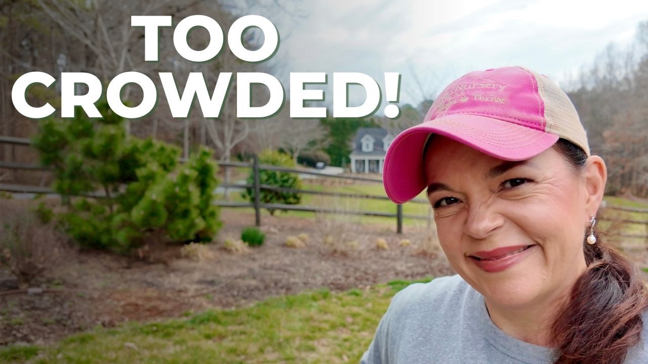 Massive Berm Refresh! Transplanting, Planting & Mulching Day