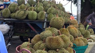 Durian - The Sweetest Fruit | Durian Fruit