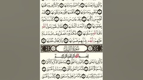 (92) سورة الليل | شيخ الزين محمد احمد