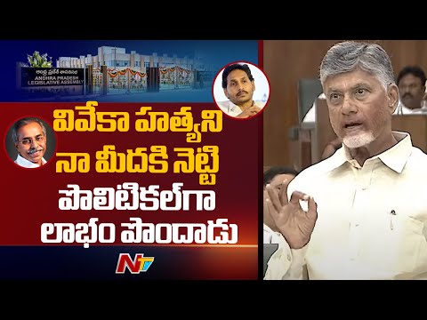 CM Chandrababu On YS Vivekananda Reddy Case And Ys Jagan | AP Assembly 2025 | NTV Telugu - NTVTELUGU