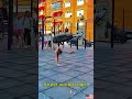 This is calisthenics at another level. #motivation #fitnesseverywhere #calisthenics #streetworkout